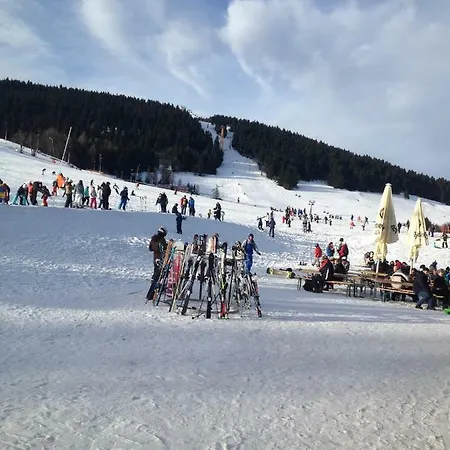 Bergblick 公寓