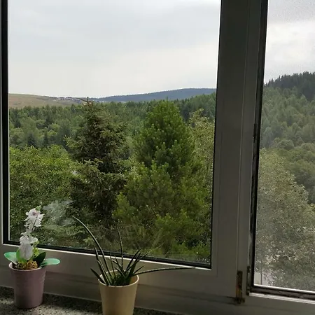 Bergblick Apartment Oberwiesenthal