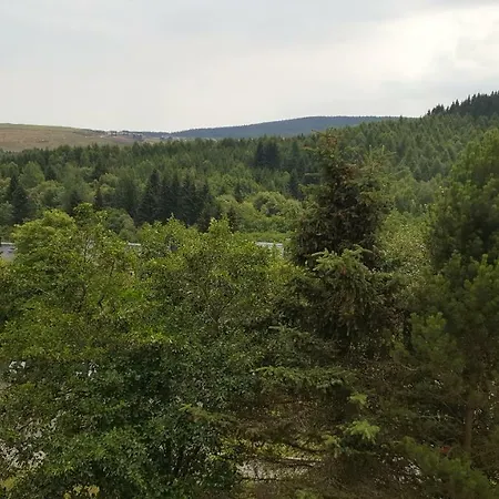 Apartment Bergblick *