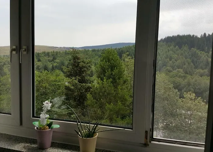 Bergblick Апартаменты Курорт Обервизенталь